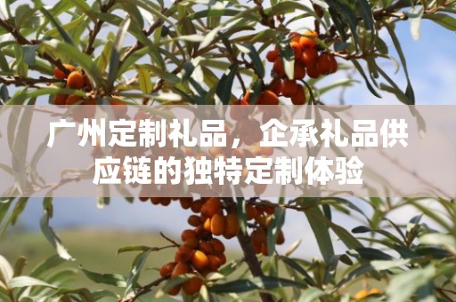广州定制礼品，企承礼品供应链的独特定制体验