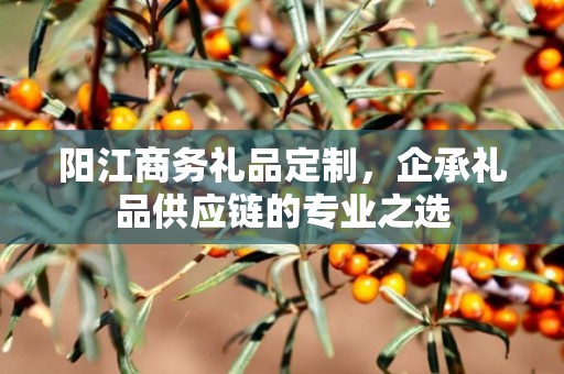 阳江商务礼品定制，企承礼品供应链商务礼品定制公司